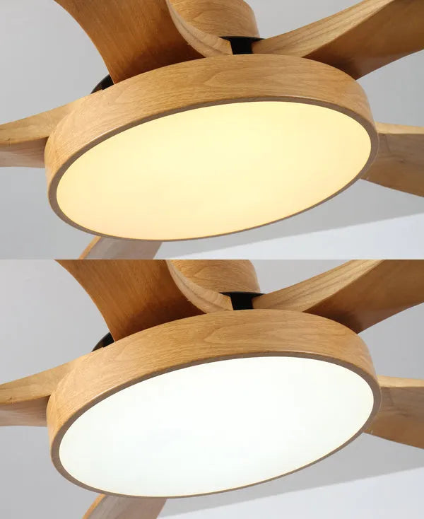 Fjord Lights Scandi Reversible Ceiling Fan with Light - FL5002
