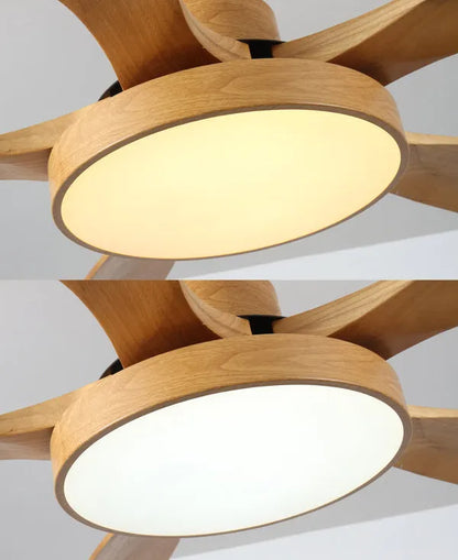 Fjord Lights Scandi Reversible Ceiling Fan with Light - FL5002